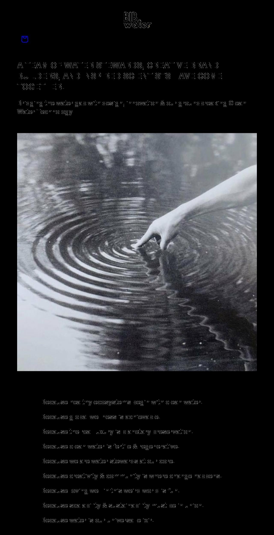 bibh2o.com shopify website screenshot