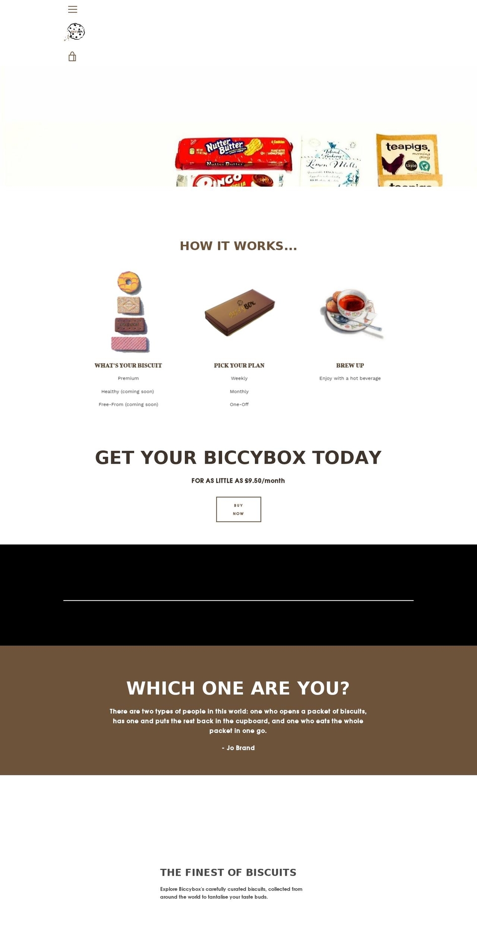 biccybox.com — Shopify storefront screenshot