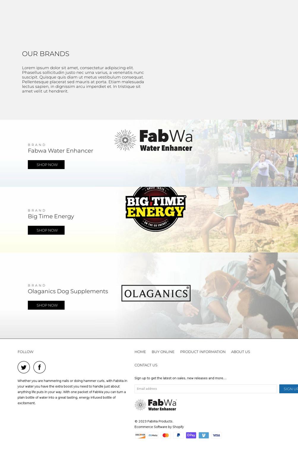 big-time-energy.com shopify website screenshot