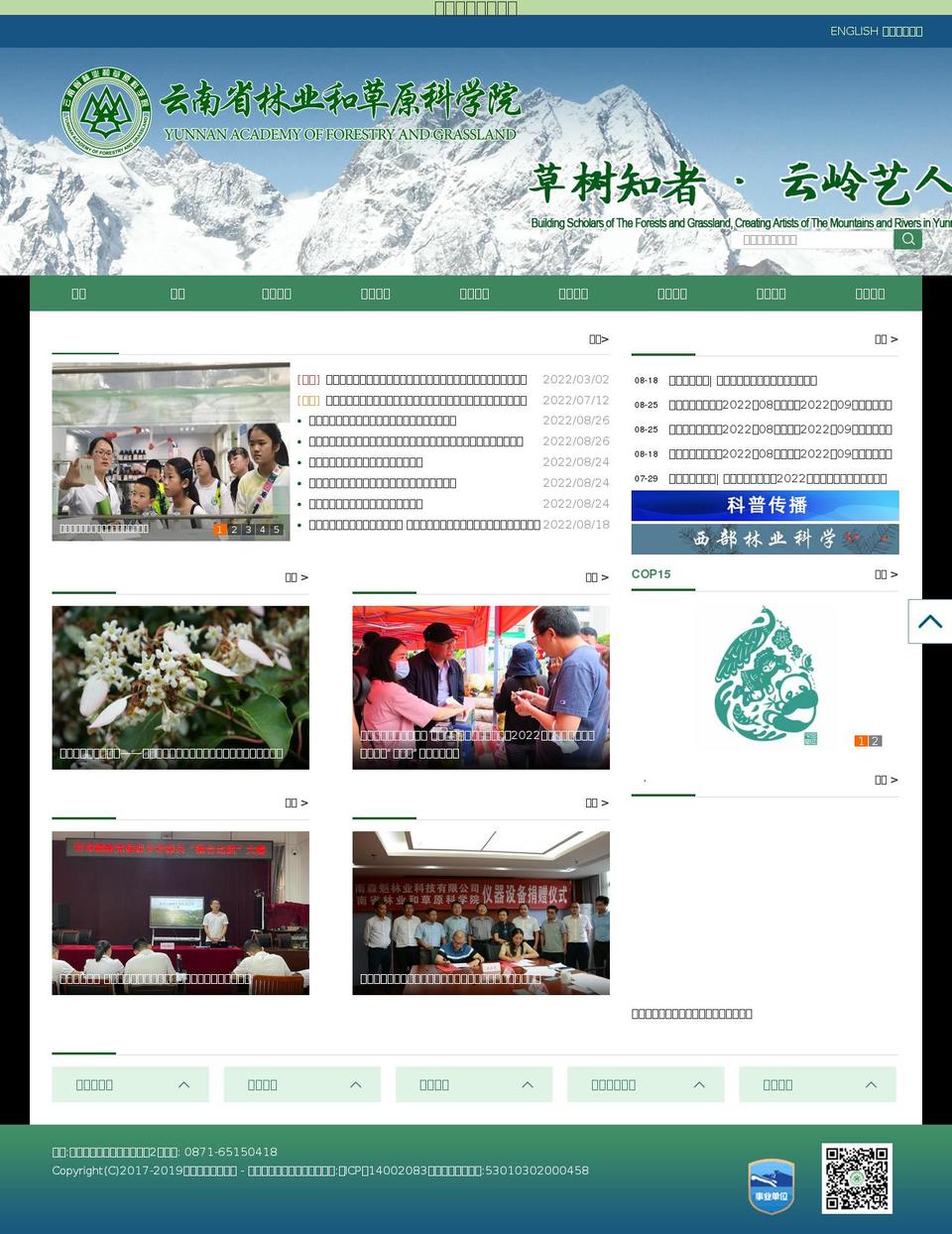 bigaxi.com — Shopify storefront screenshot
