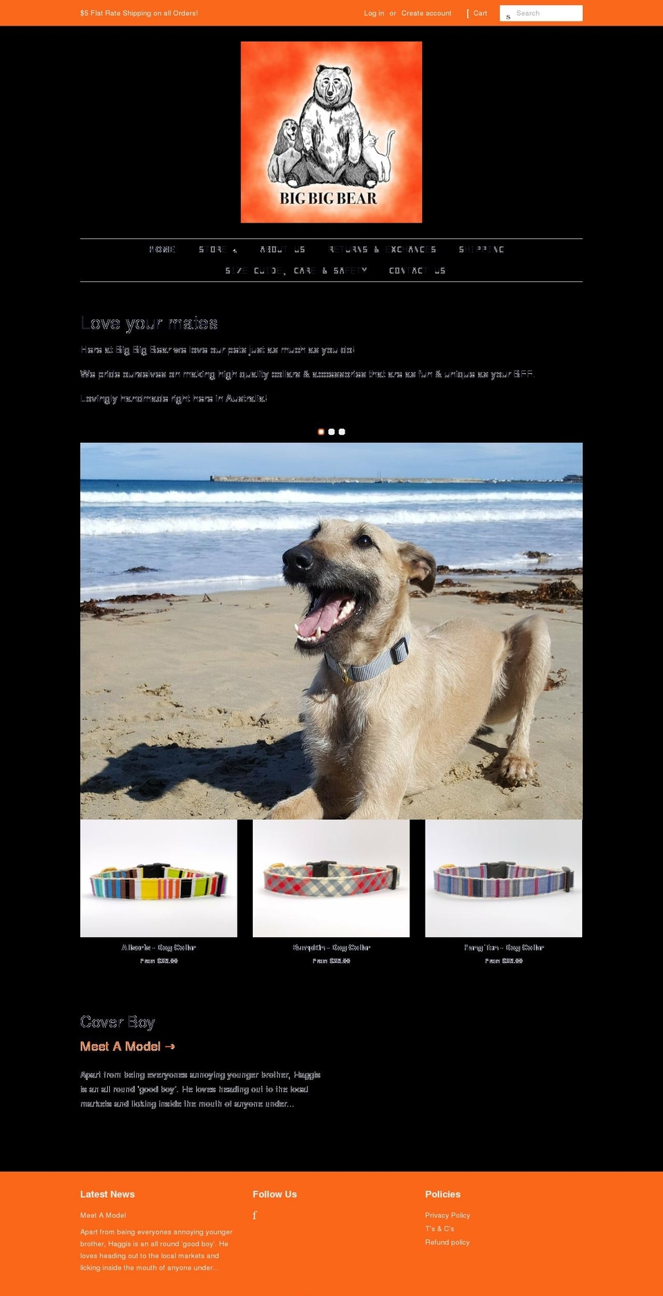 bigbigbear.com.au shopify website screenshot