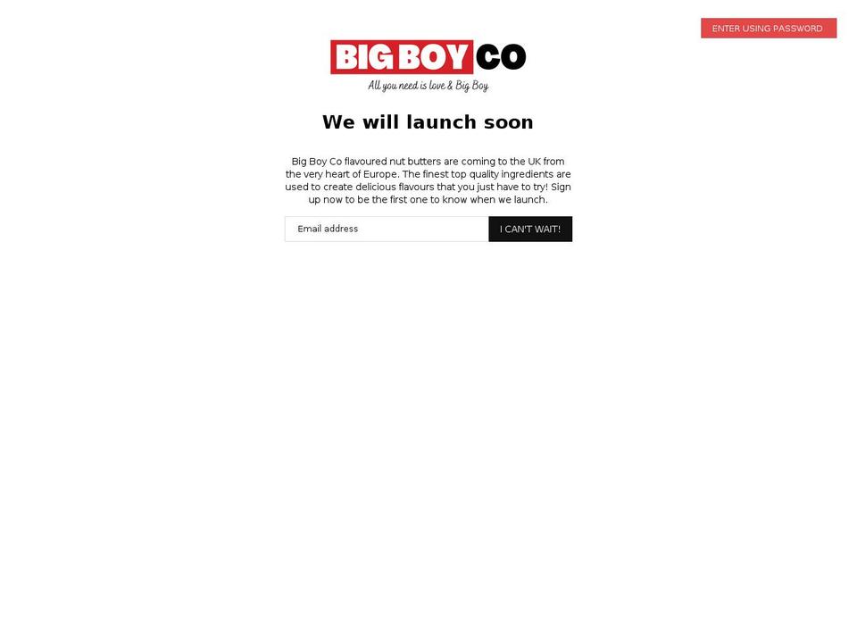 bigboyco.com shopify website screenshot