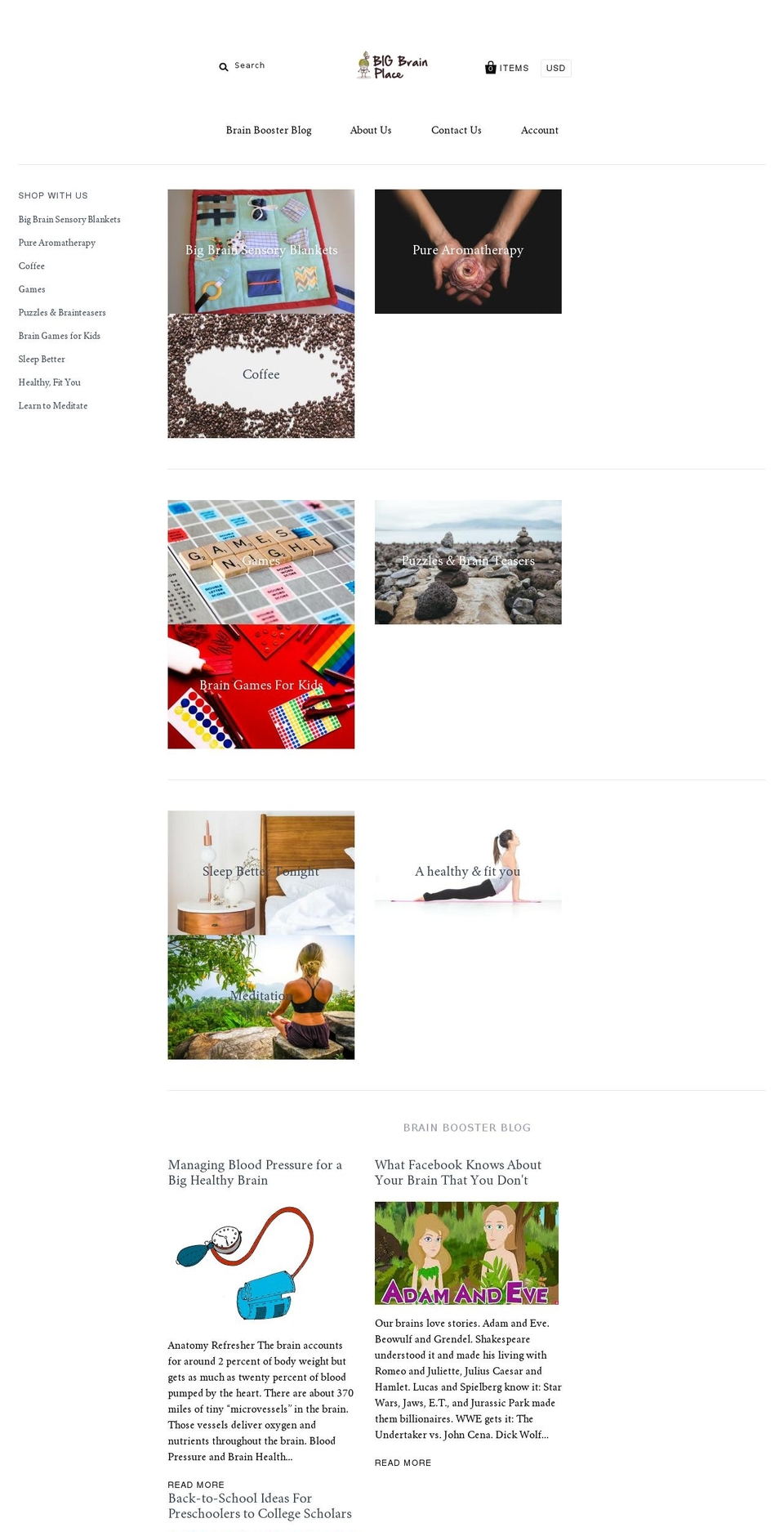 bigbrainplace.com — Shopify storefront screenshot