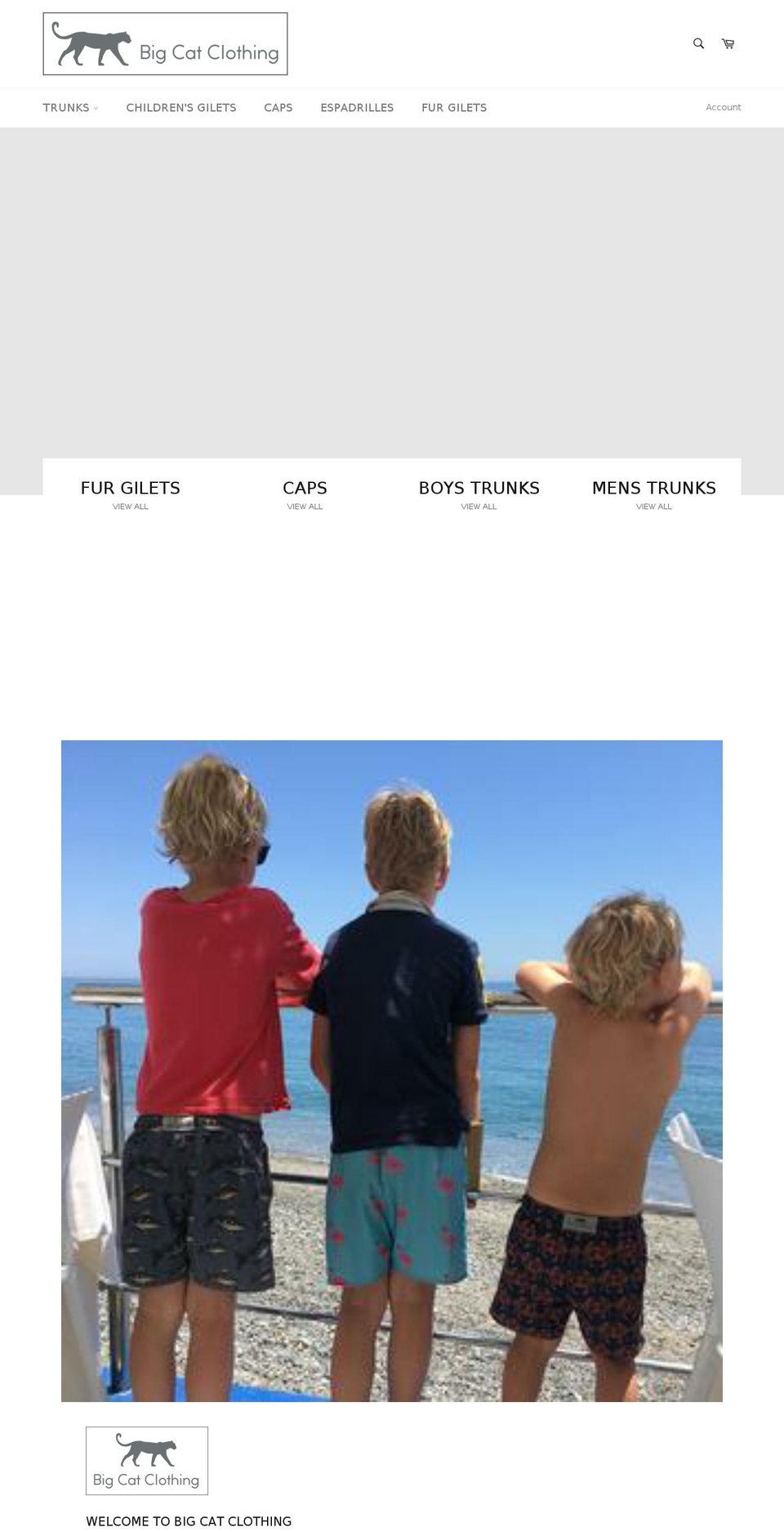 bigcatclothing.com — Shopify storefront screenshot