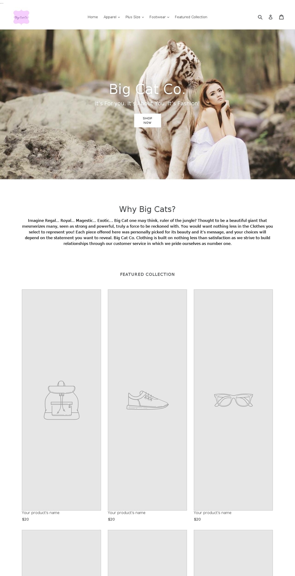 bigcatco.com — Shopify storefront screenshot