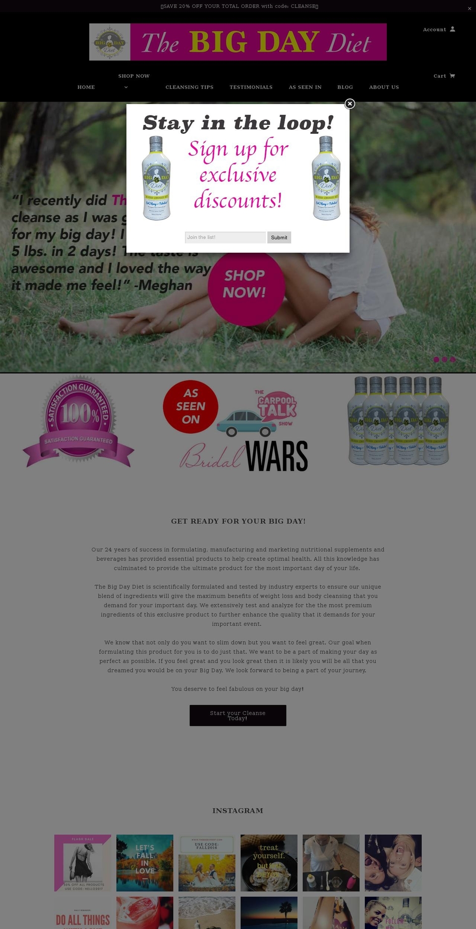 bigdaydiet.com shopify website screenshot