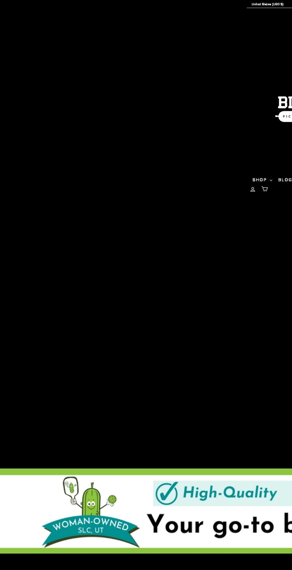 bigdillpickleballcompany.com shopify website screenshot