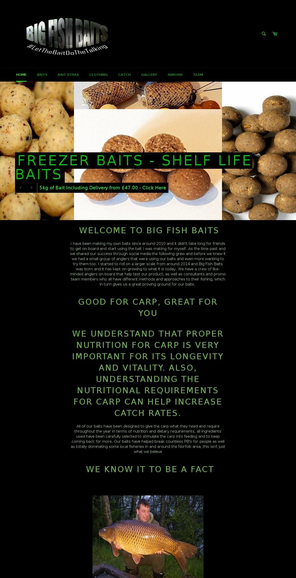 bigfishbaits.org shopify website screenshot