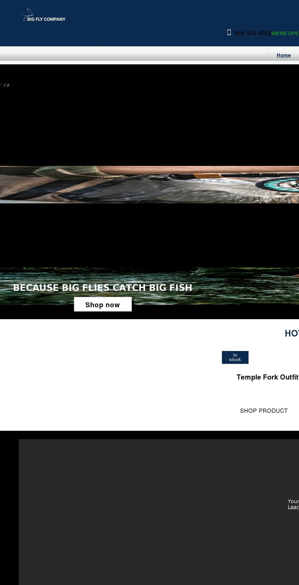 bigflycompany.com shopify website screenshot