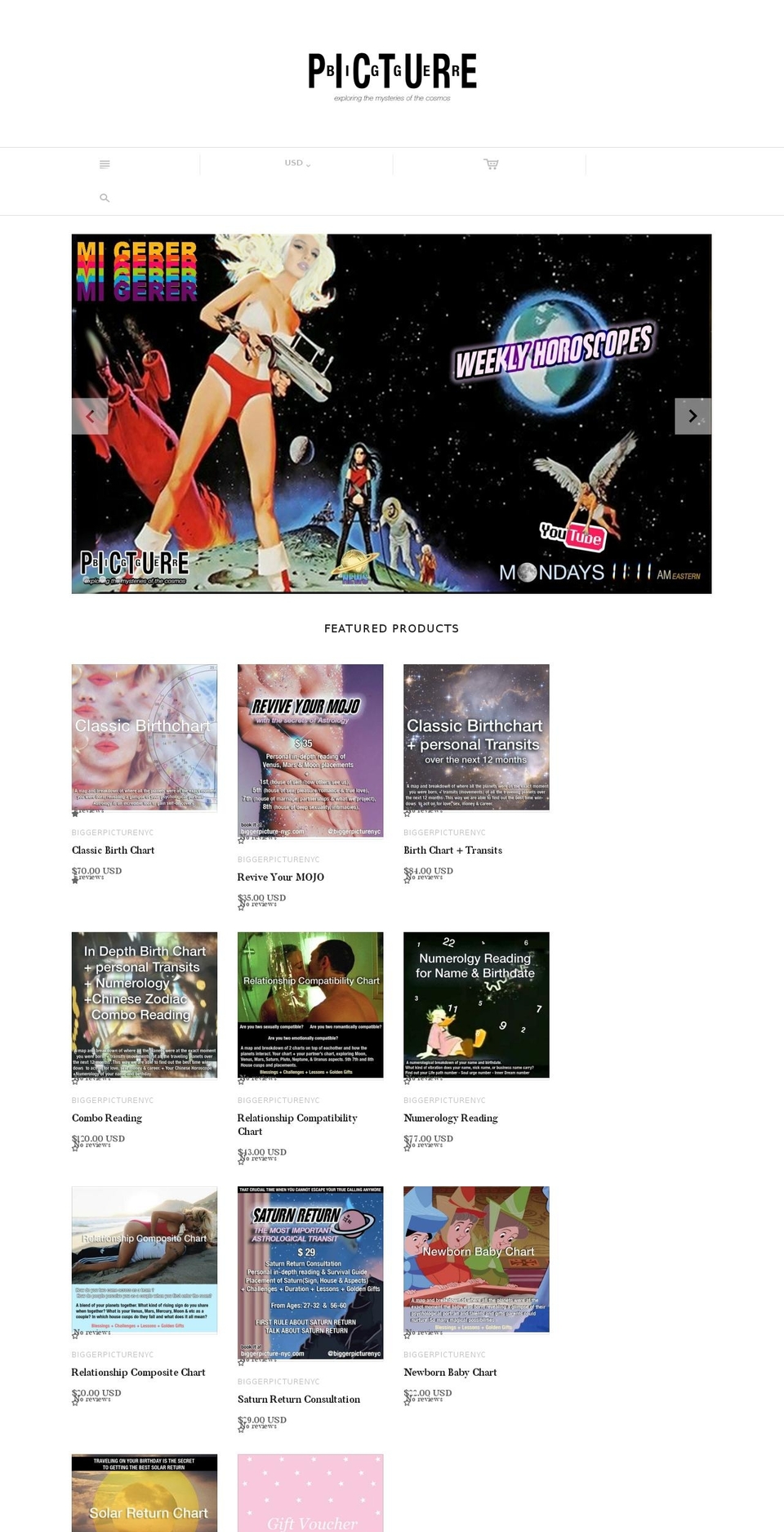 biggerpicture-nyc.com shopify website screenshot