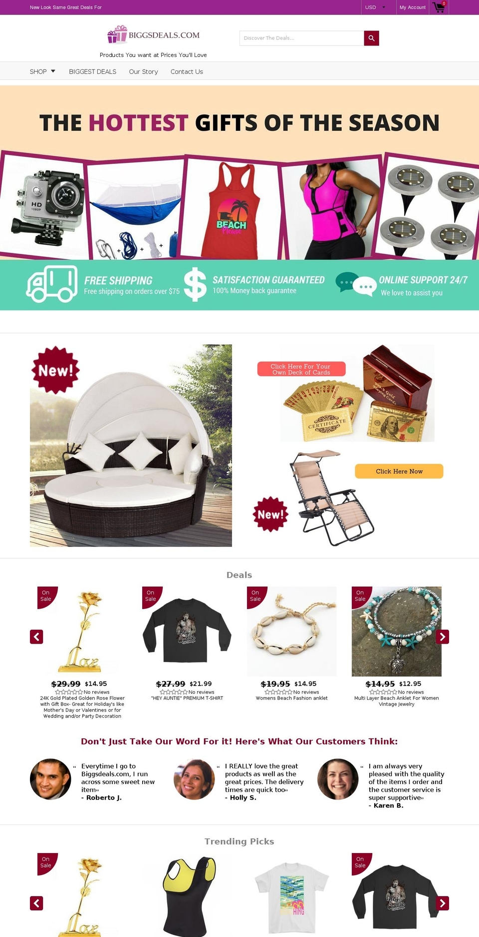 biggsdeals.com shopify website screenshot