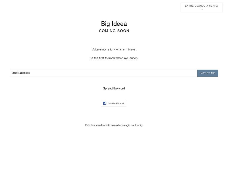 bigideea.com shopify website screenshot