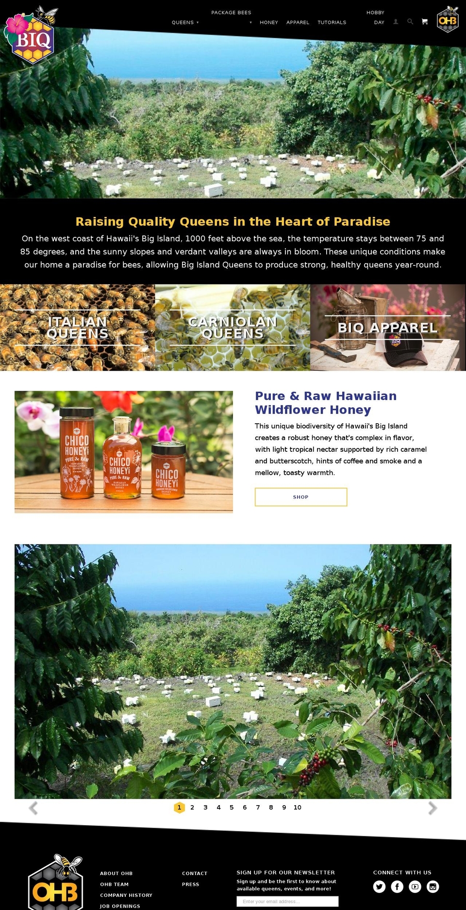 bigislandqueens.com shopify website screenshot