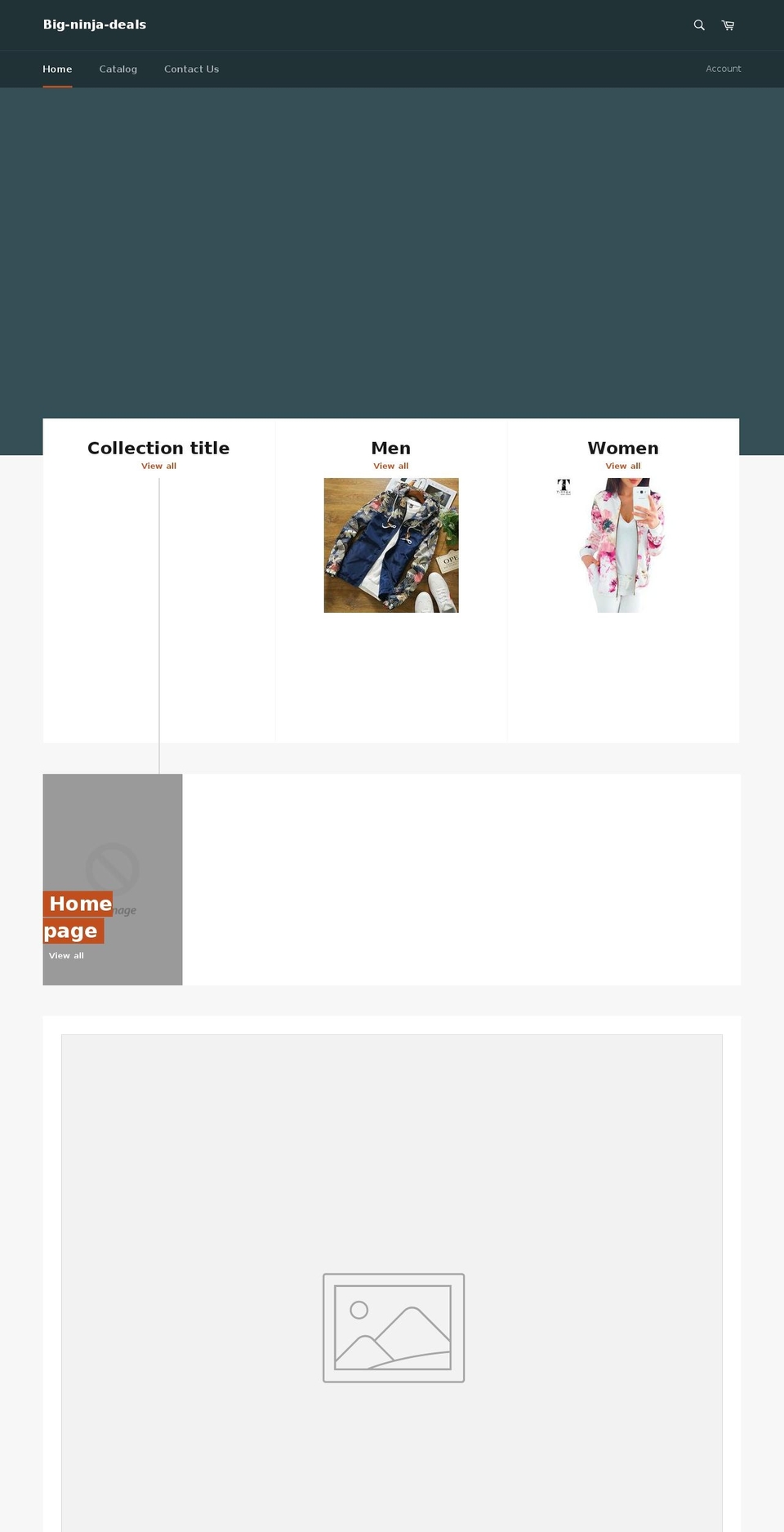 bigninjadeals.com — Shopify storefront screenshot