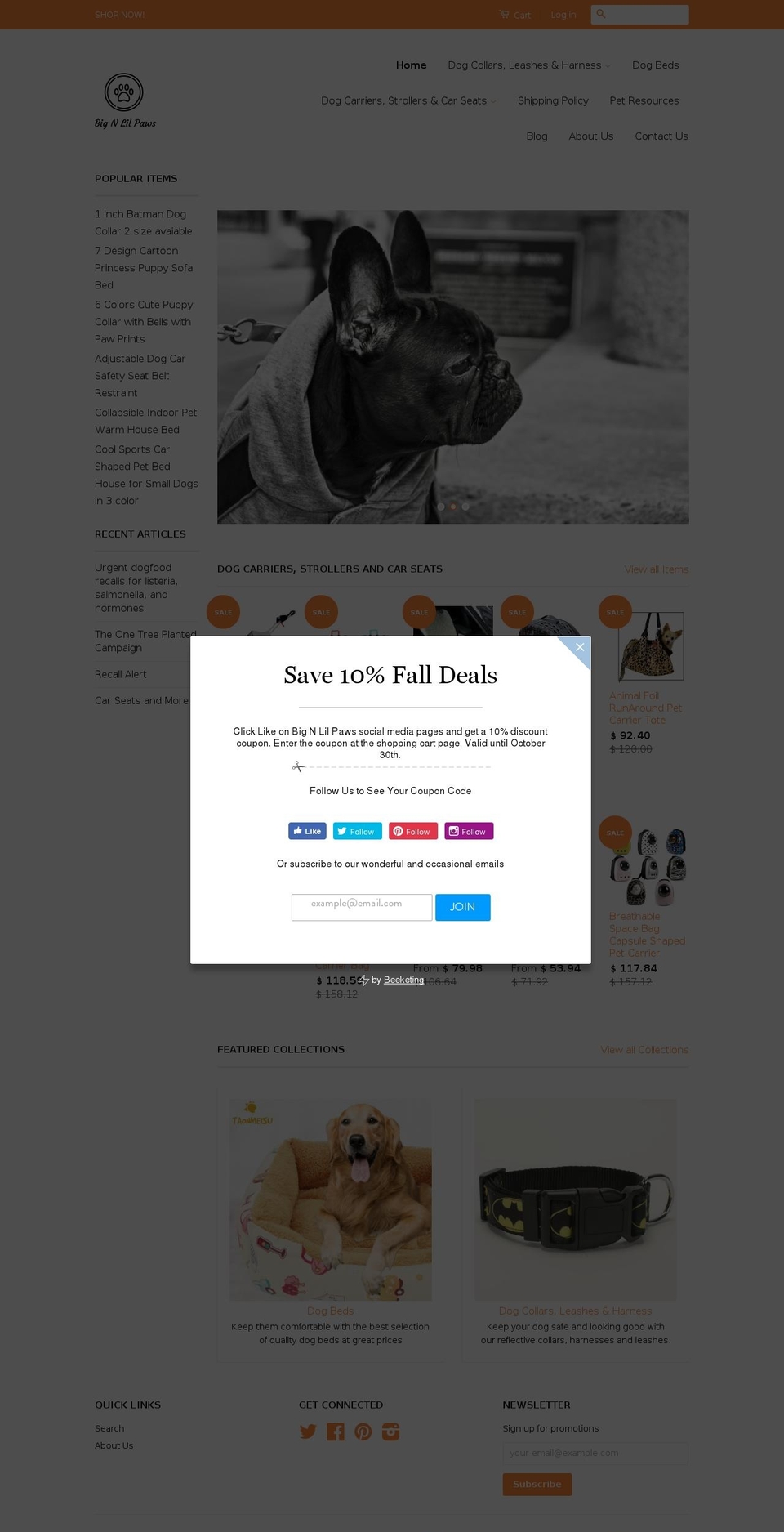 bignlilpaws.com — Shopify storefront screenshot