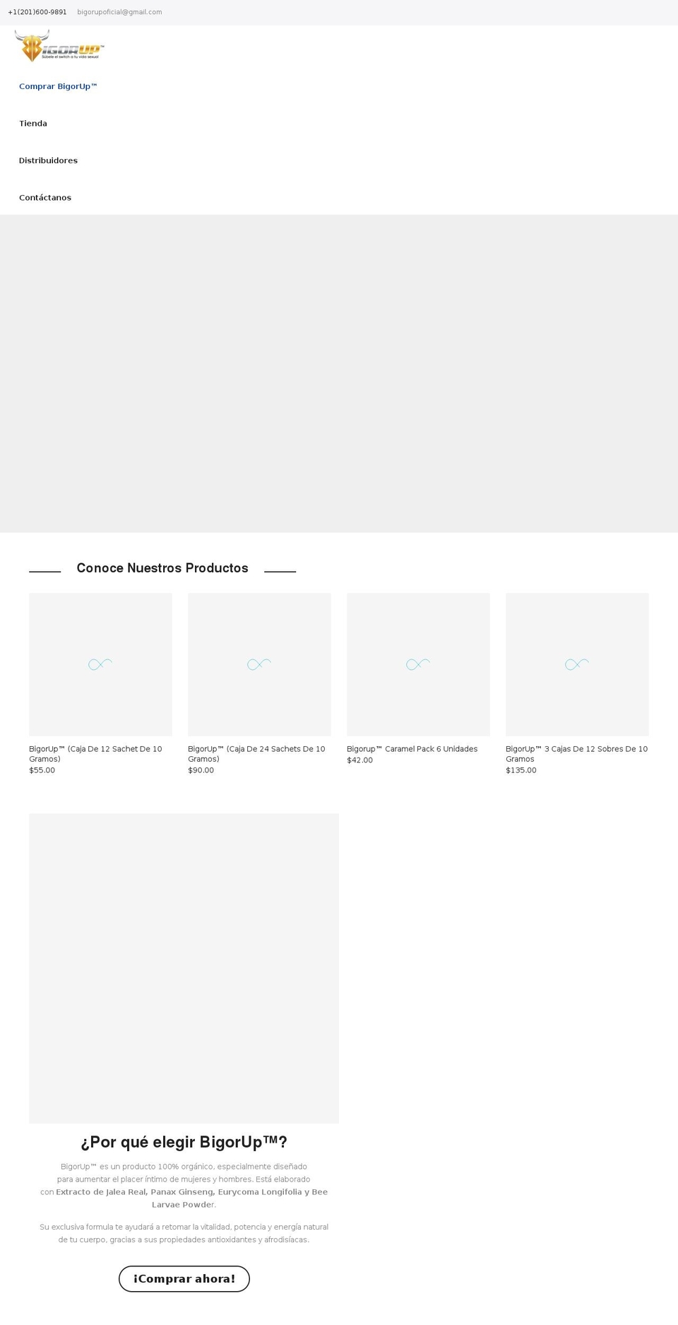 bigorup.com shopify website screenshot