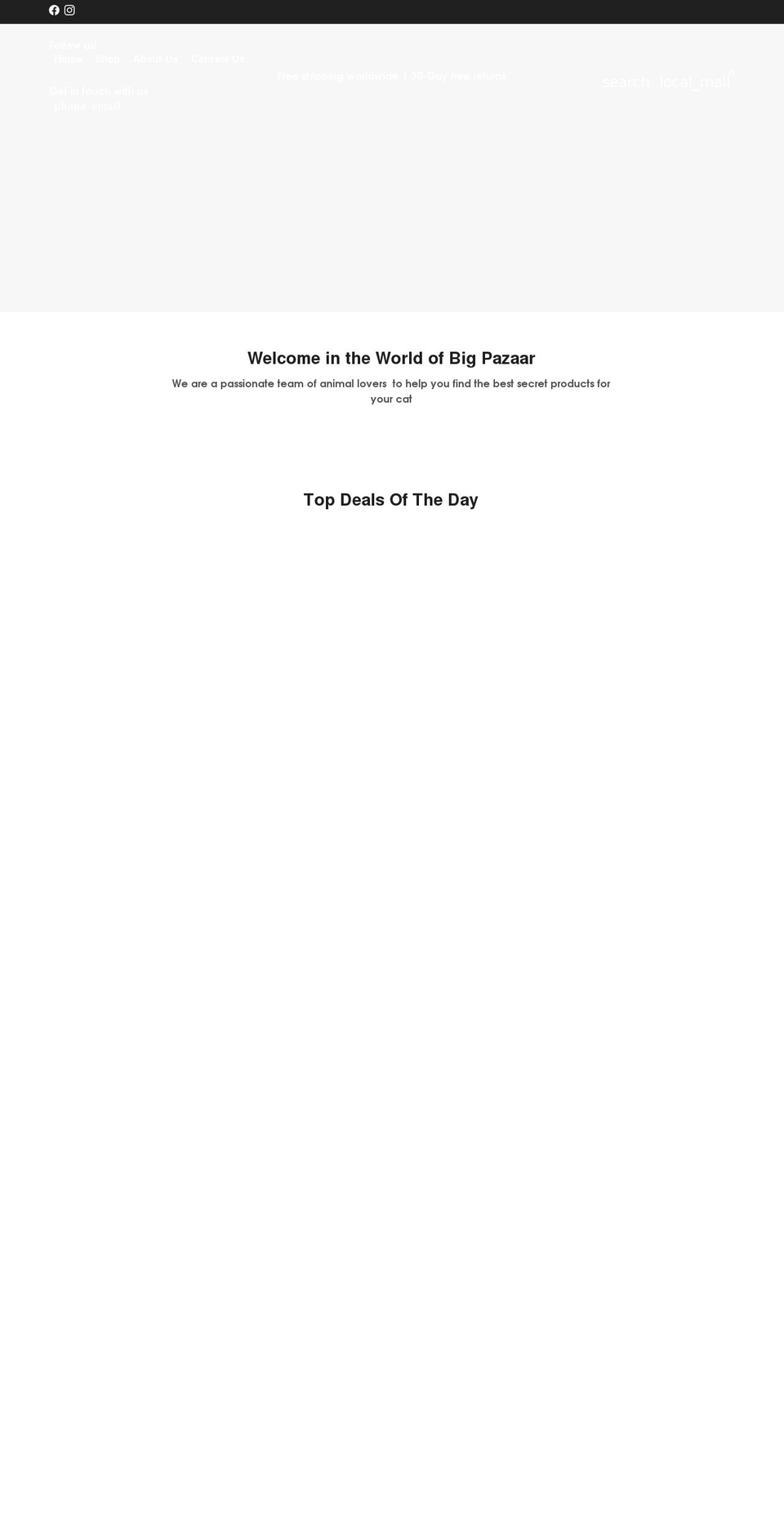 bigpazaar.com shopify website screenshot