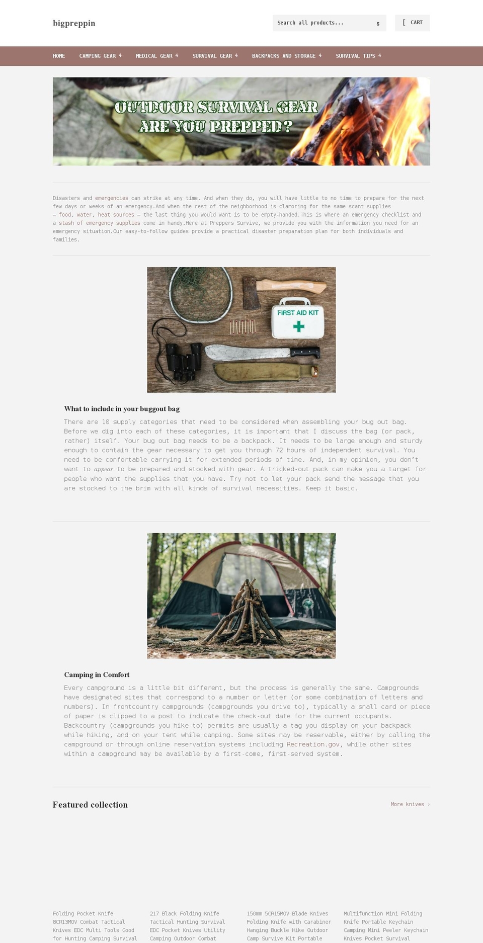 bigpreppin.com shopify website screenshot