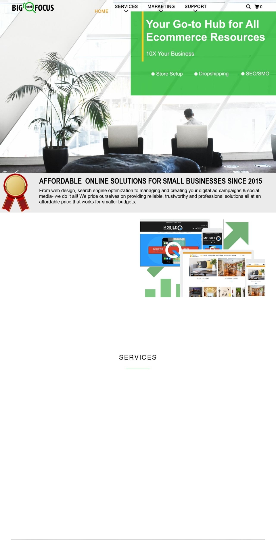 bigsmallfocus.com shopify website screenshot