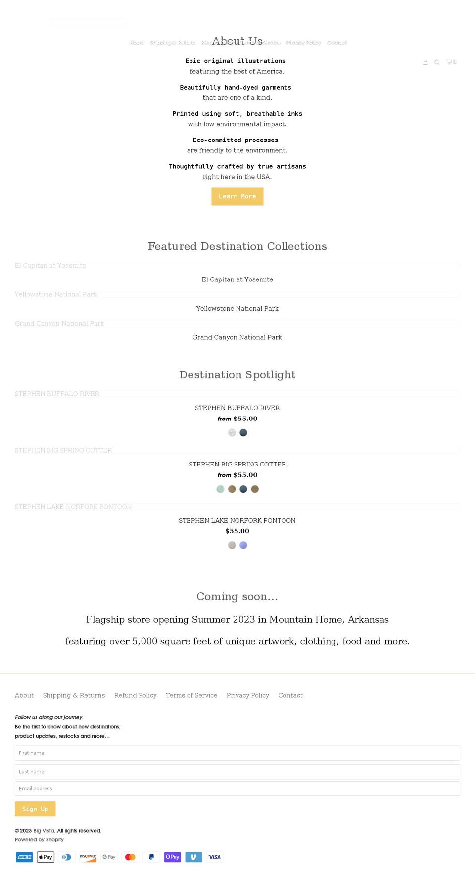 bigvista.com shopify website screenshot