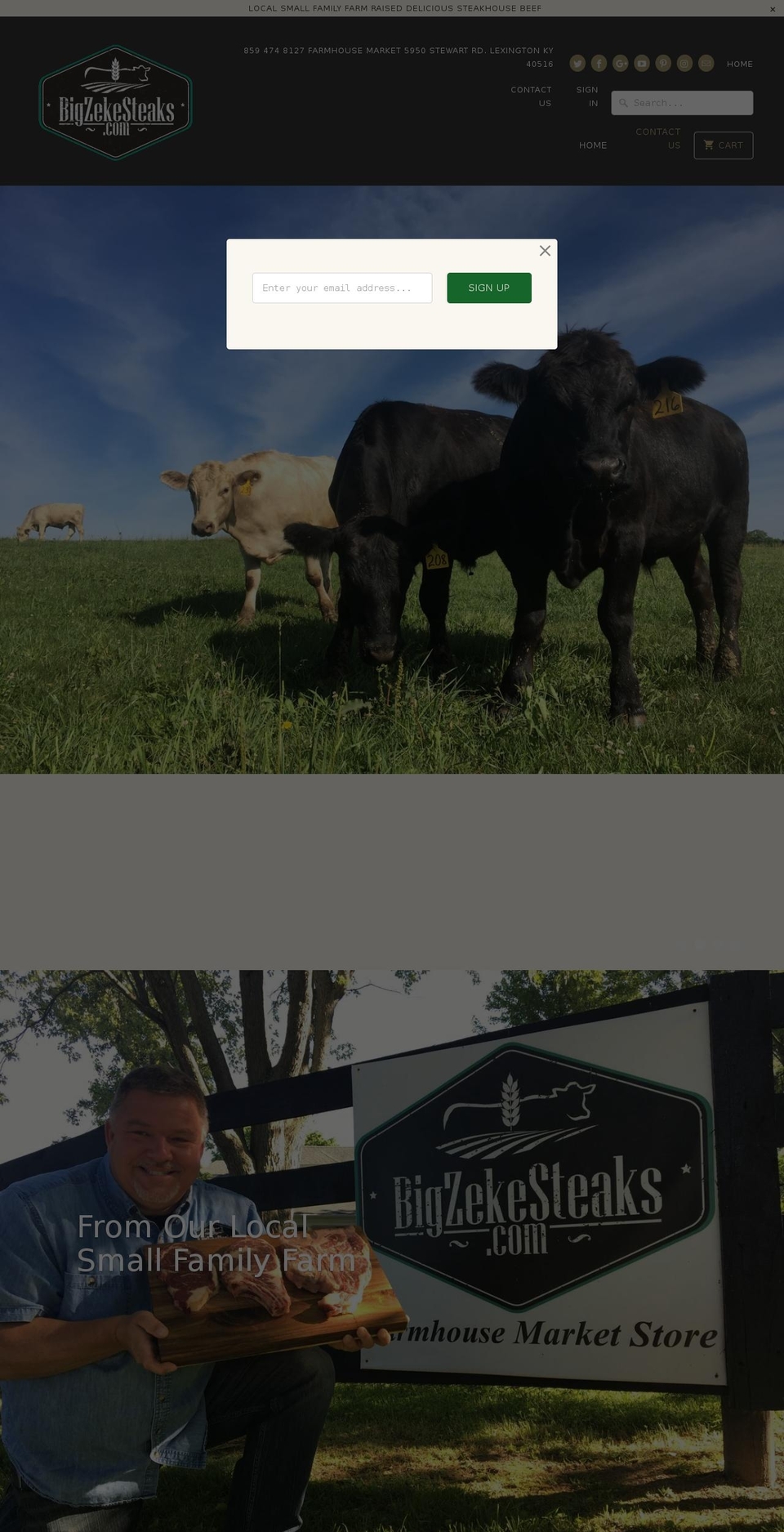 bigzekesteaks.com — Shopify storefront screenshot