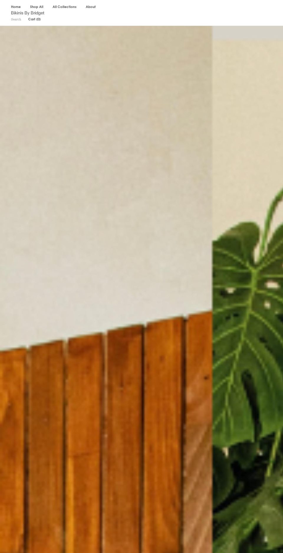 bikinisbybridget.com shopify website screenshot