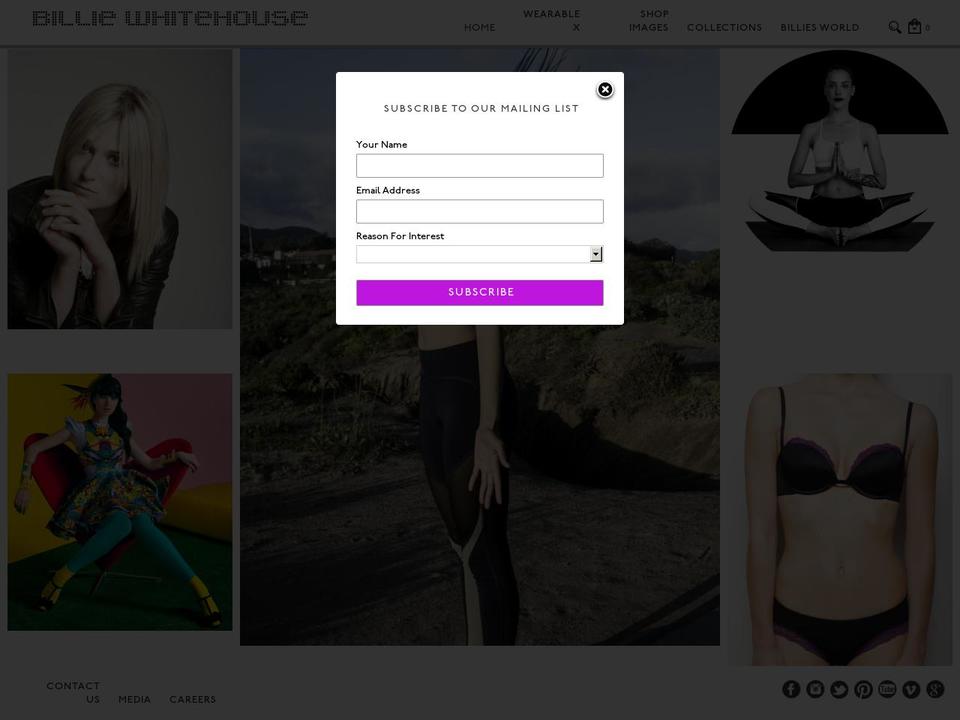billiewhitehouse.com shopify website screenshot