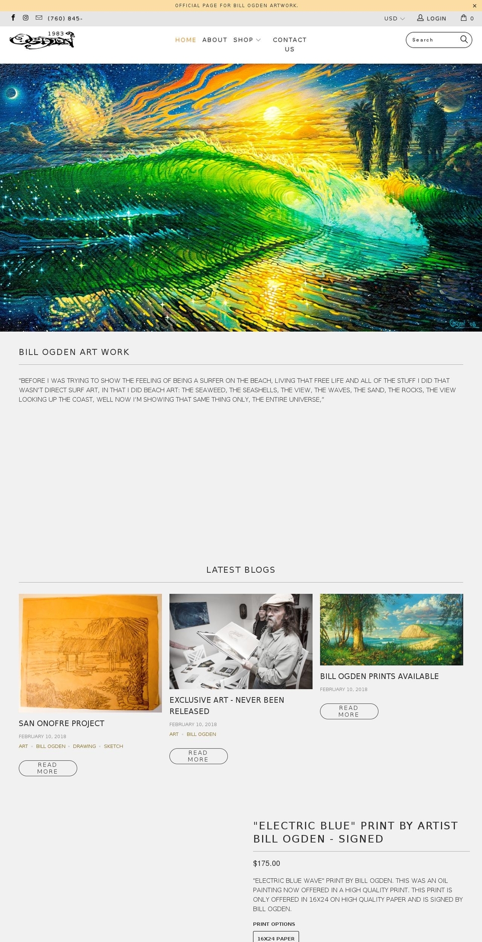 billogdenartwork.com — Shopify storefront screenshot