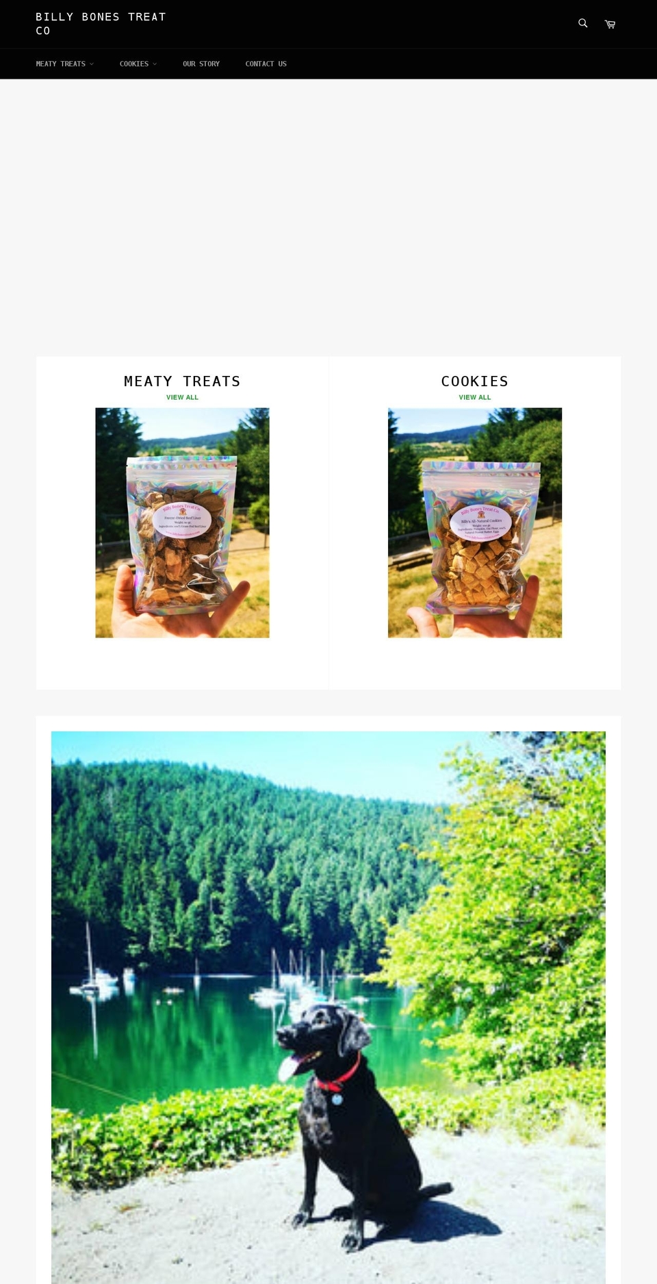 billybonestreatco.com shopify website screenshot