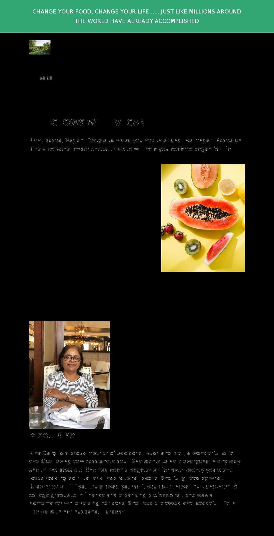binagarg.com shopify website screenshot