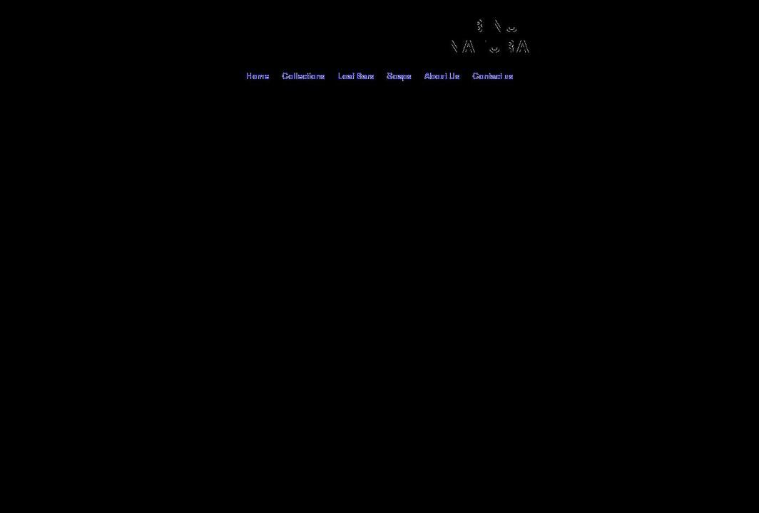 binusoap.com shopify website screenshot