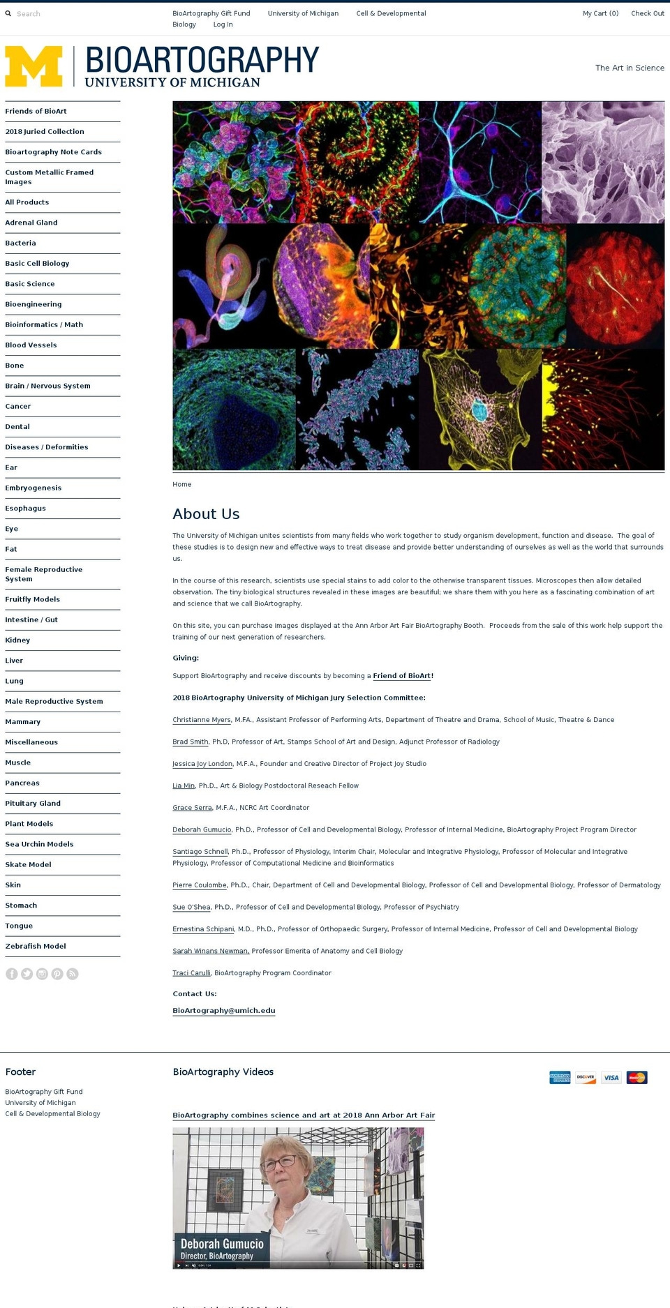 bioartography.com shopify website screenshot