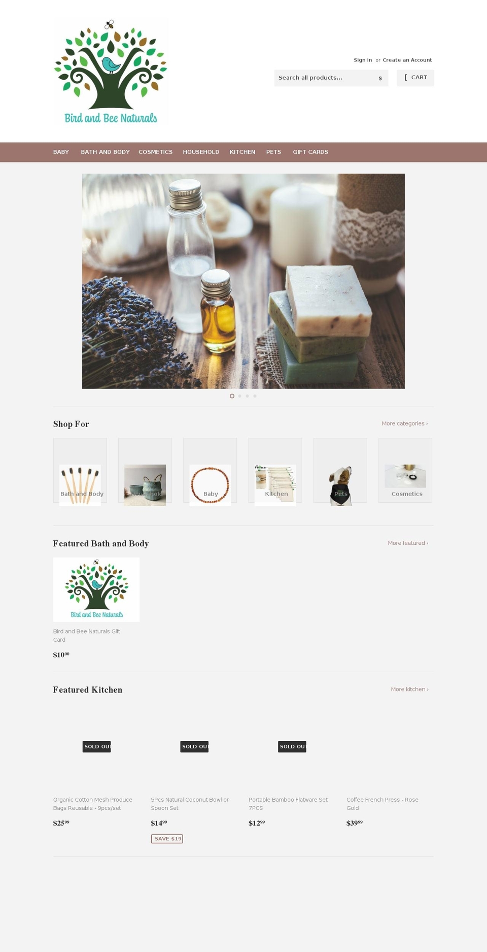 birdandbeenaturals.com shopify website screenshot