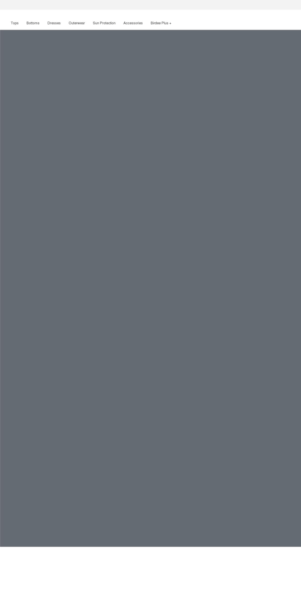 birdeesport.com shopify website screenshot