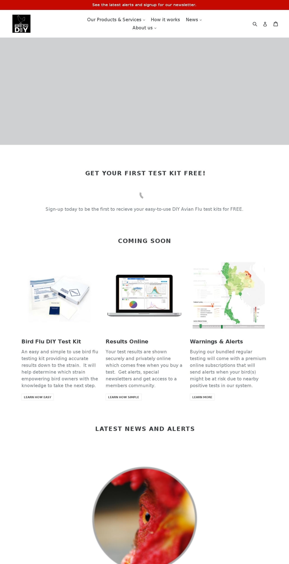 birdfludiy.com — Shopify storefront screenshot