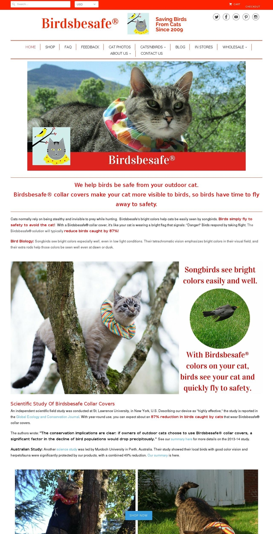 birdsafe.co shopify website screenshot