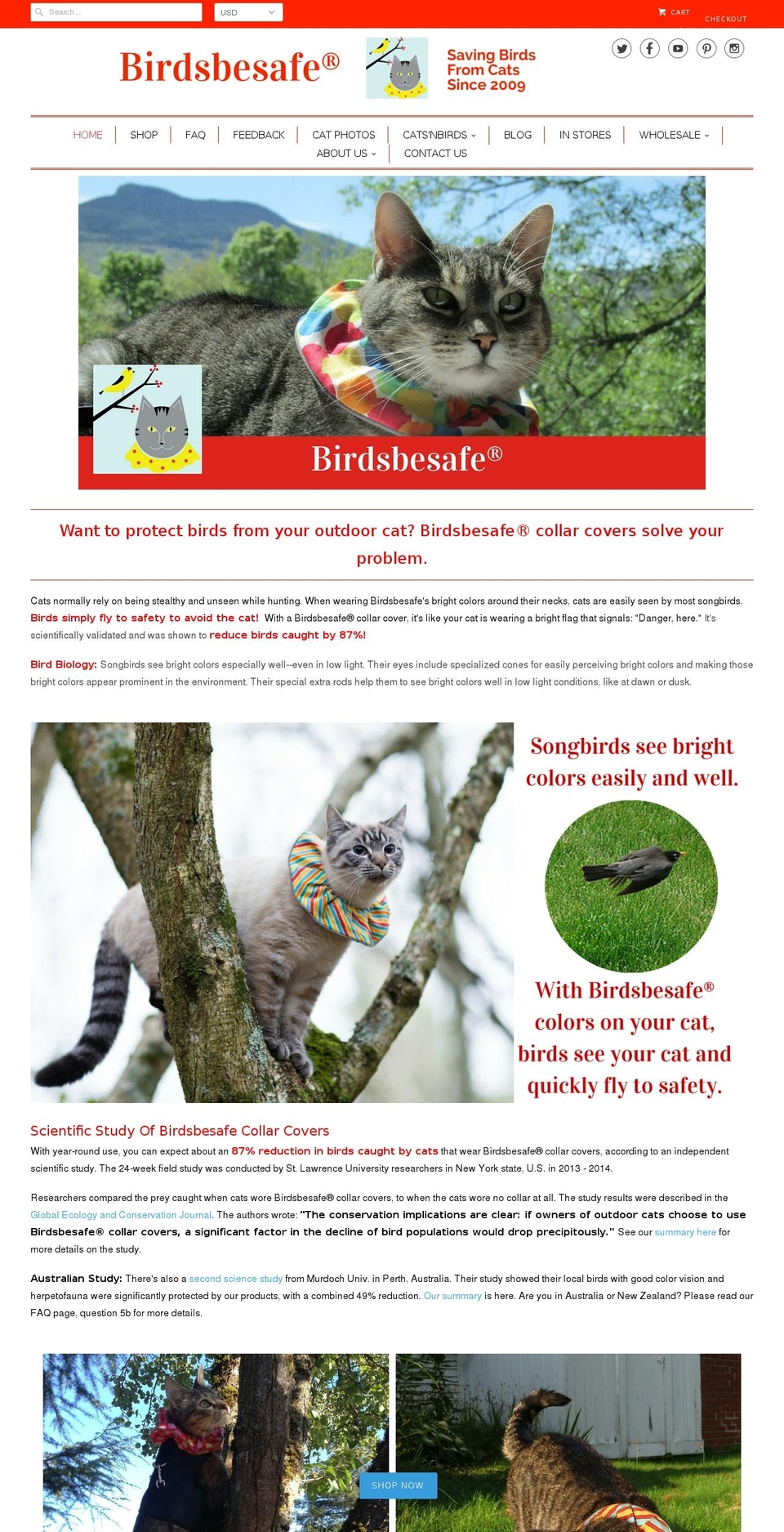 birdsbesafe.com shopify website screenshot