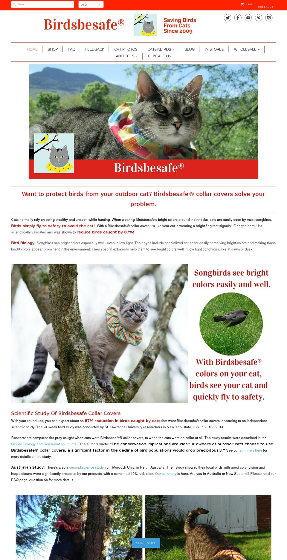 birdsbesafe.org shopify website screenshot