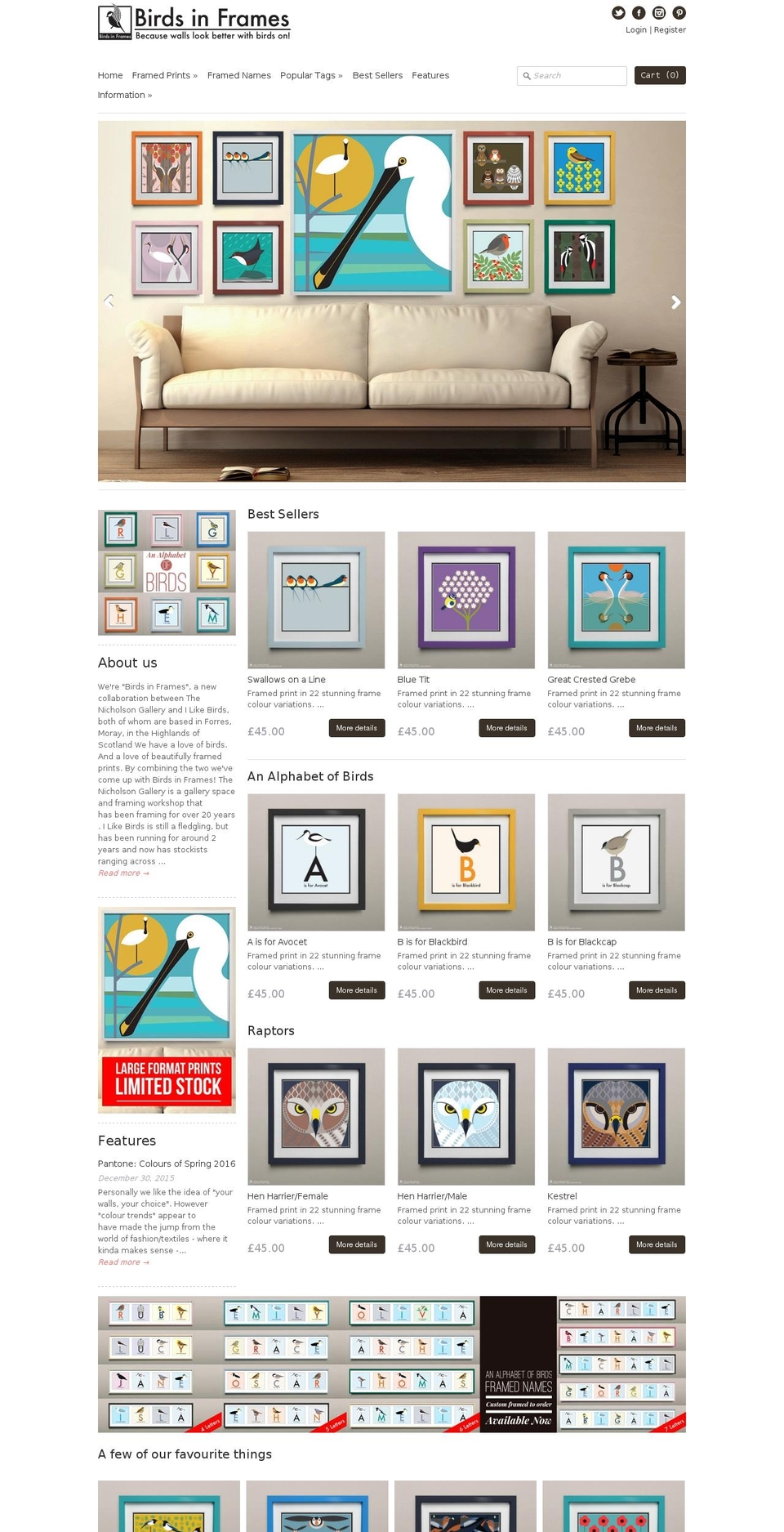 birdsinframes.com shopify website screenshot