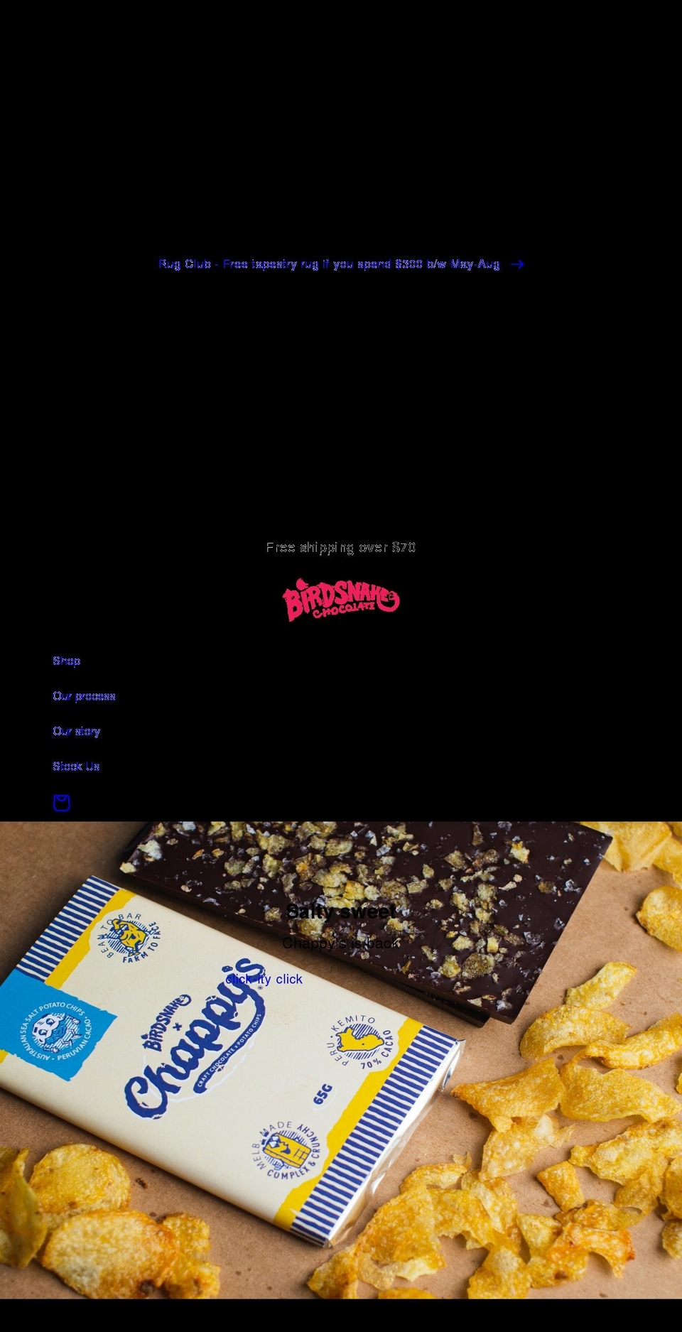 birdsnake.com.au shopify website screenshot