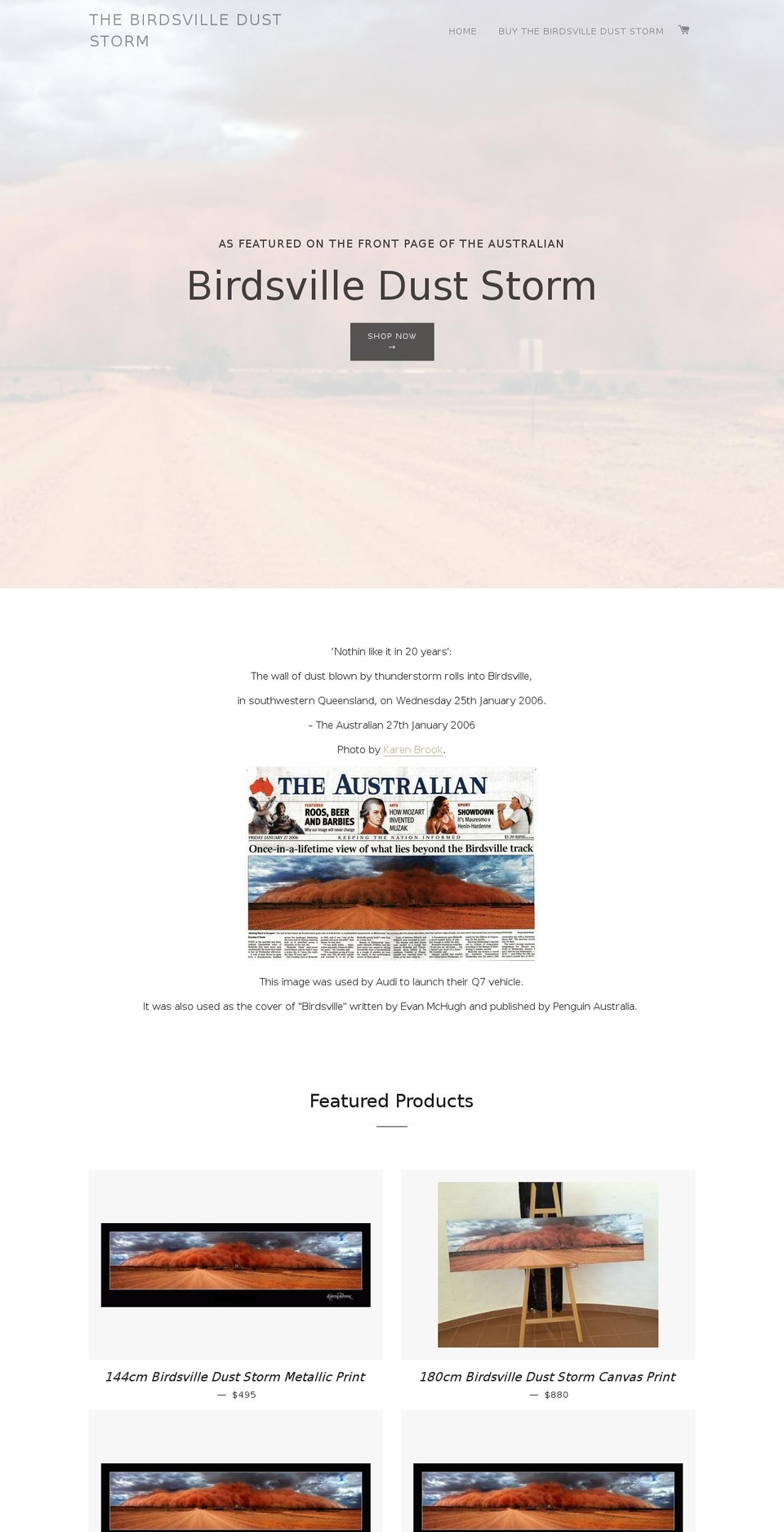 birdsvilleduststorm.com shopify website screenshot