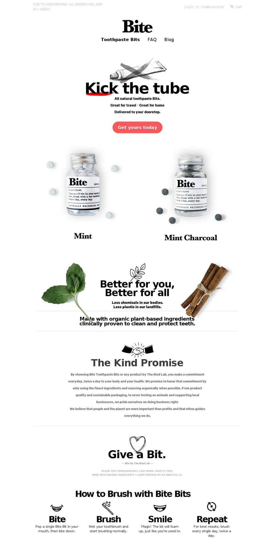 bitetoothpastebits.com shopify website screenshot