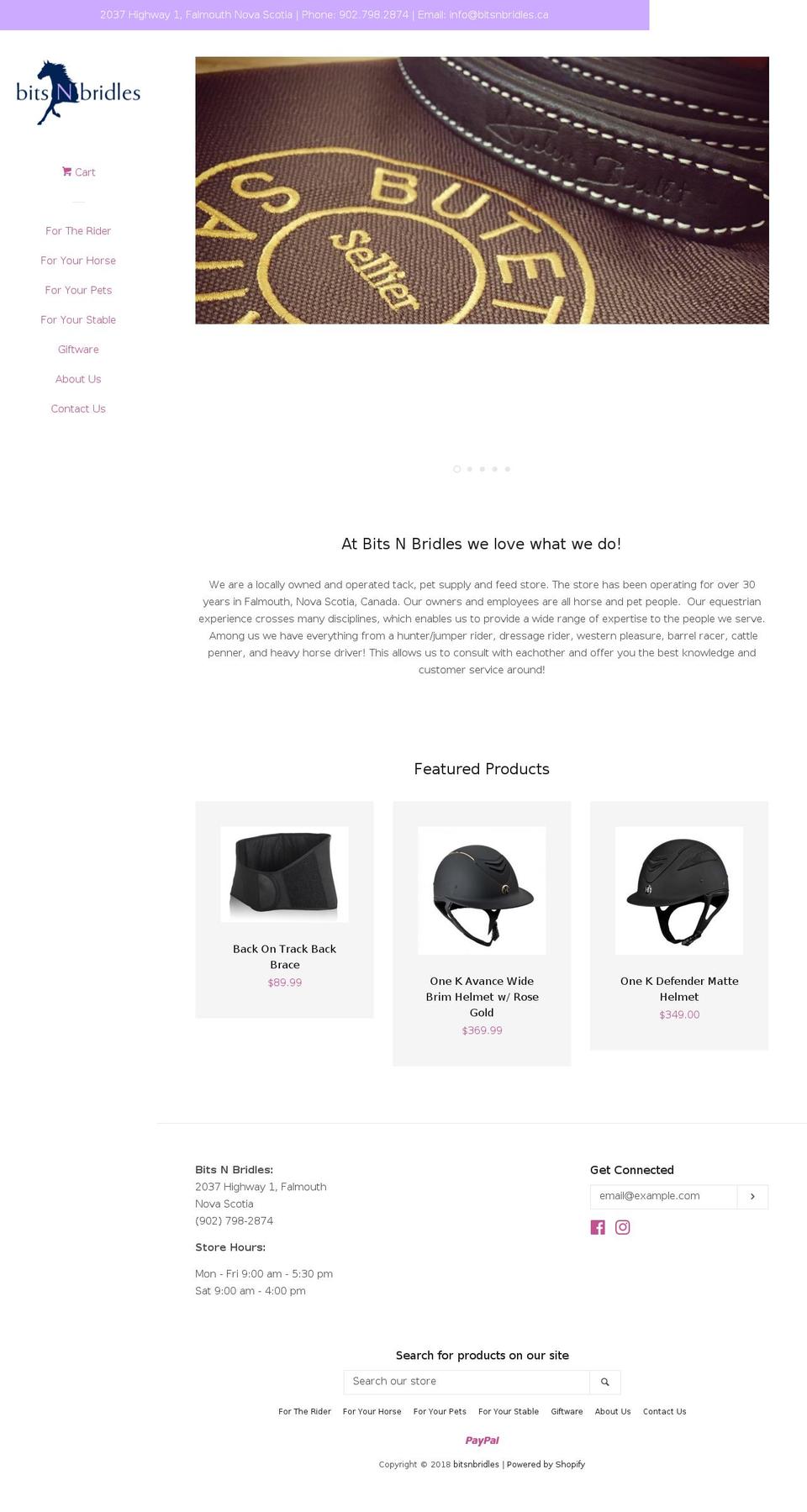 bitsnbridles.ca shopify website screenshot