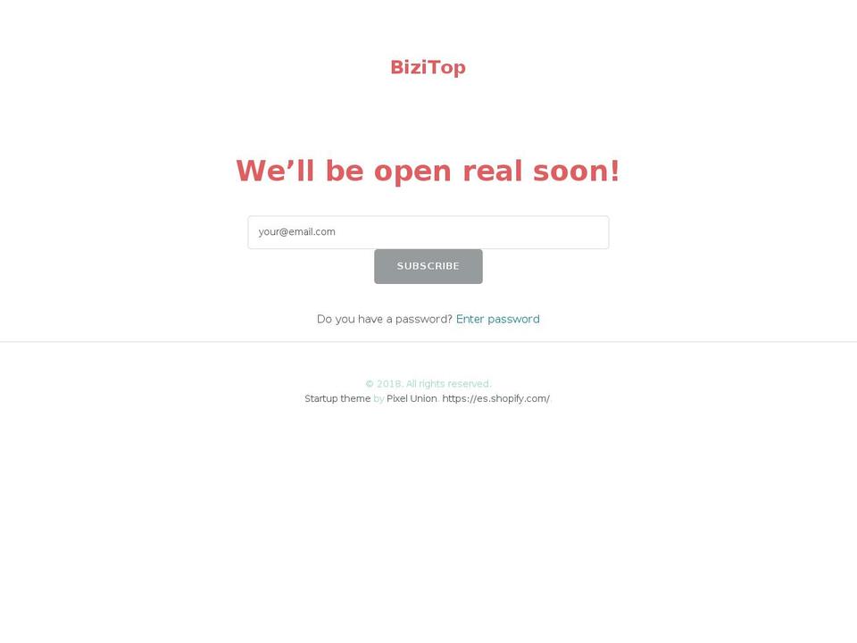 bizitop.com shopify website screenshot