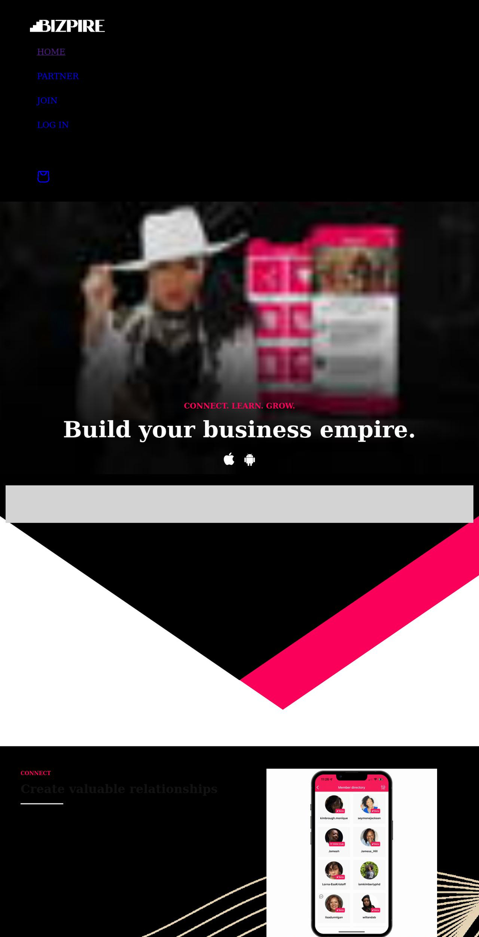 bizpire.com shopify website screenshot