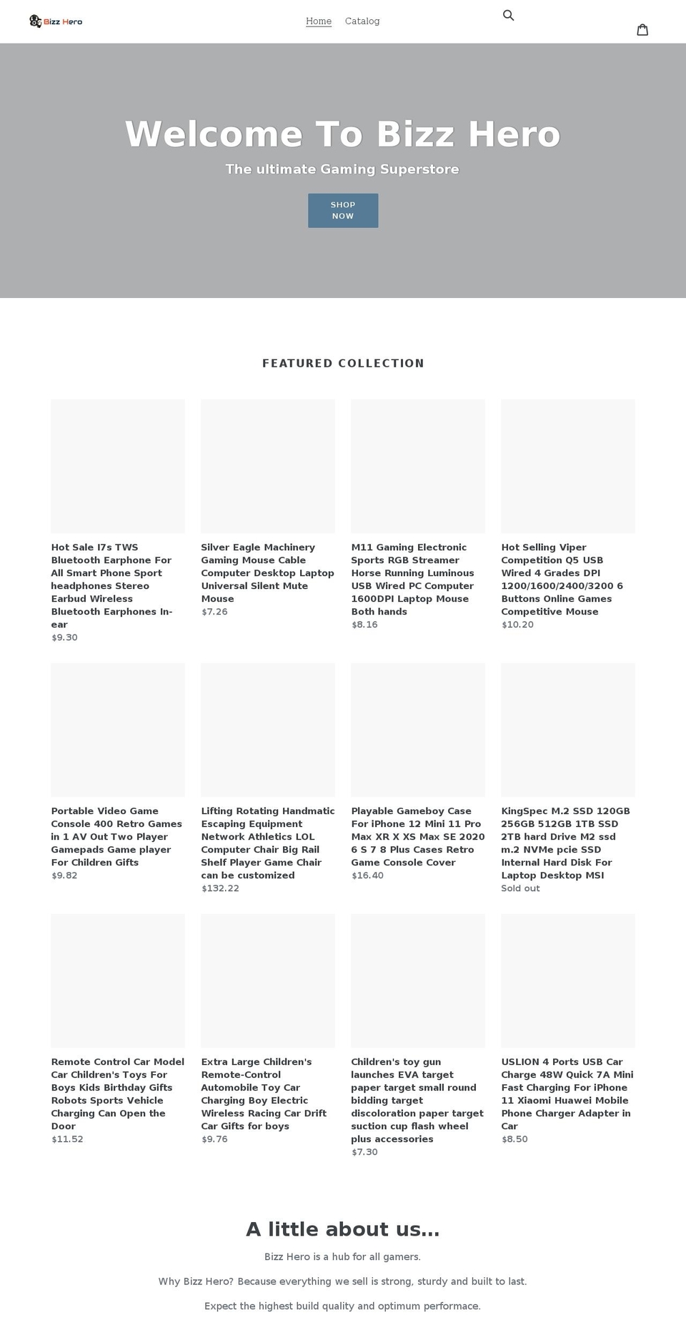 bizzhero.com shopify website screenshot