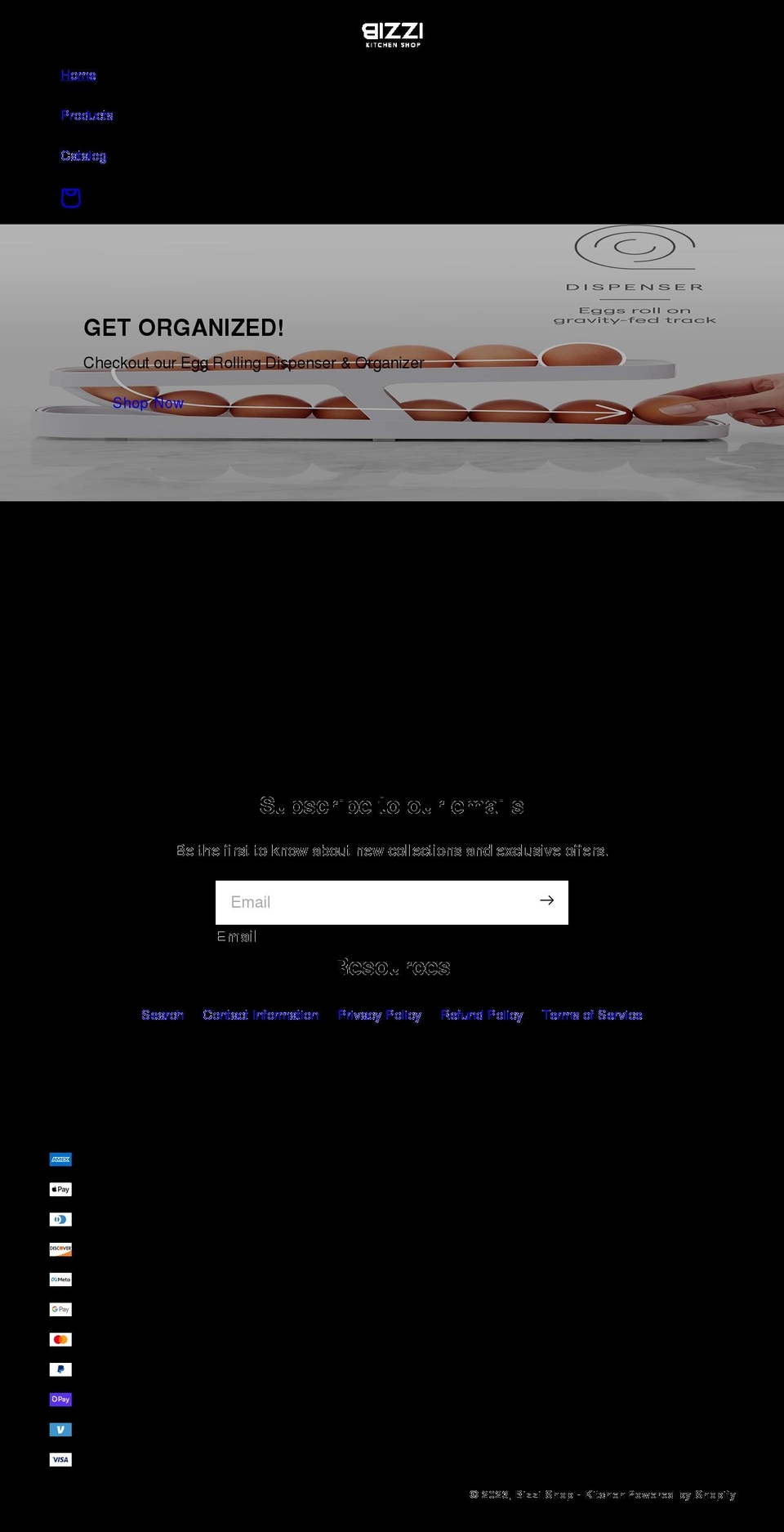bizzishop.com shopify website screenshot