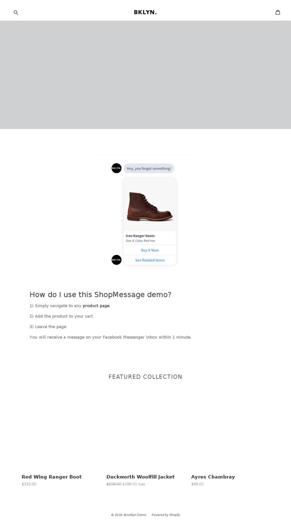 bklyn-demo.myshopify.com shopify website screenshot