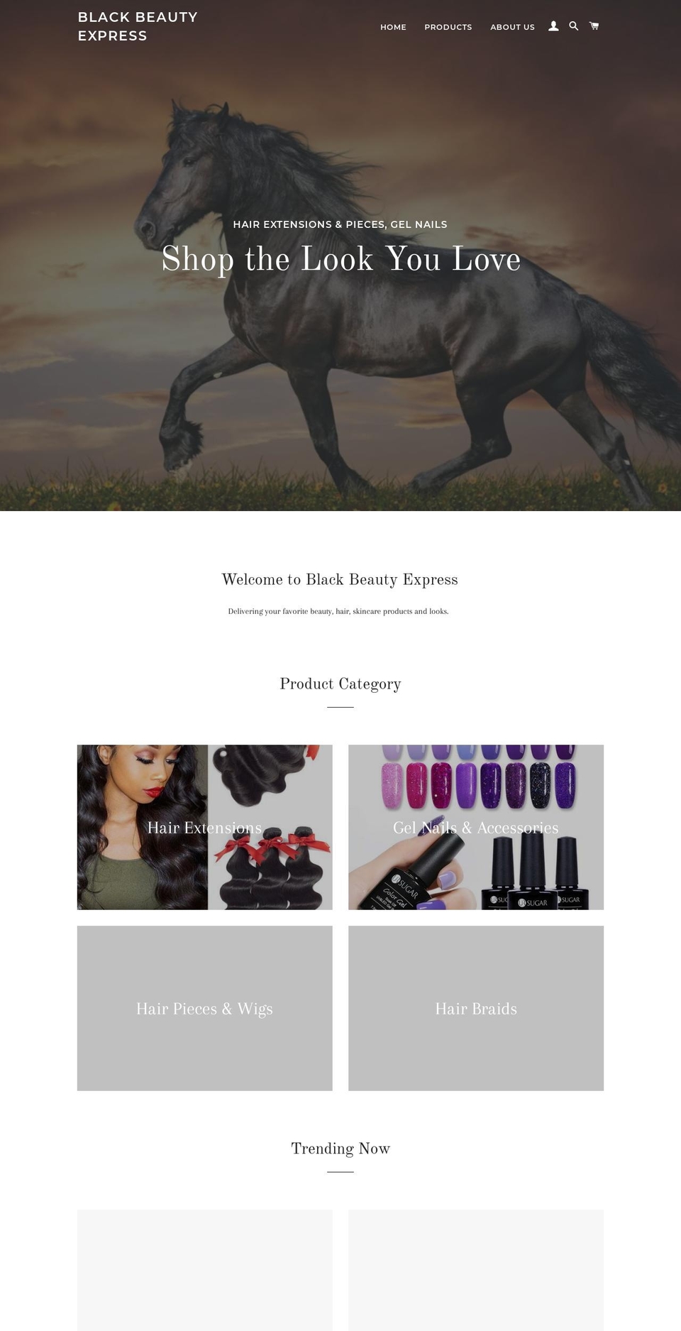 blackbeautyexpress.com — Shopify storefront screenshot