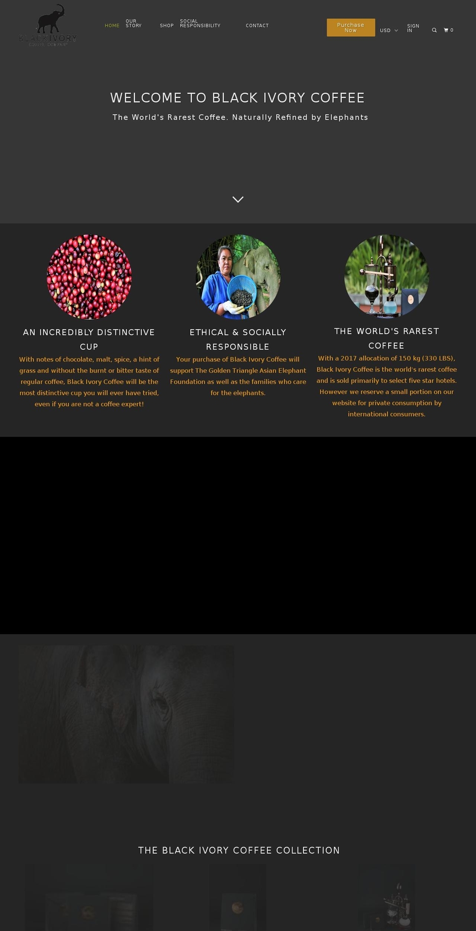 blackivorycoffee.com — Shopify storefront screenshot
